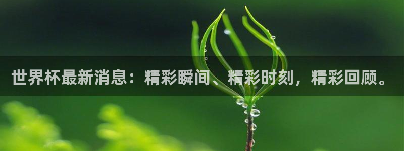 世界杯48支球队赛制：世界杯最新消息：精彩瞬间、精彩时刻，精彩回顾。