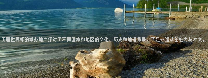 世界杯预选赛亚洲区积分榜：历届世界杯的举办地点探讨了不同国家和地区的文化、历史和地理背景，了足球运动的魅力与冲突。