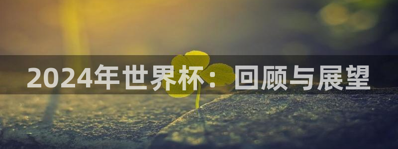 世界杯预选赛欧洲区赛程：2024年世界杯：回顾与展望