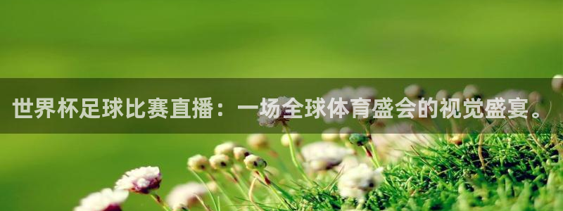 世界杯直播时间：世界杯足球比赛直播：一场全球体育盛会的视觉盛宴。