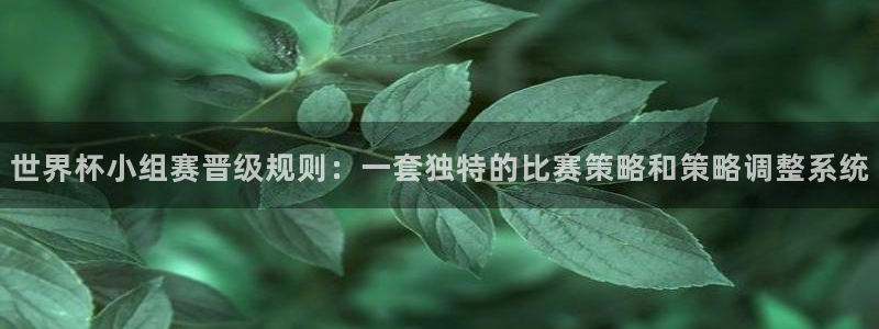 世界杯直播网站：世界杯小组赛晋级规则：一套独特的比赛策略和策略调整系统